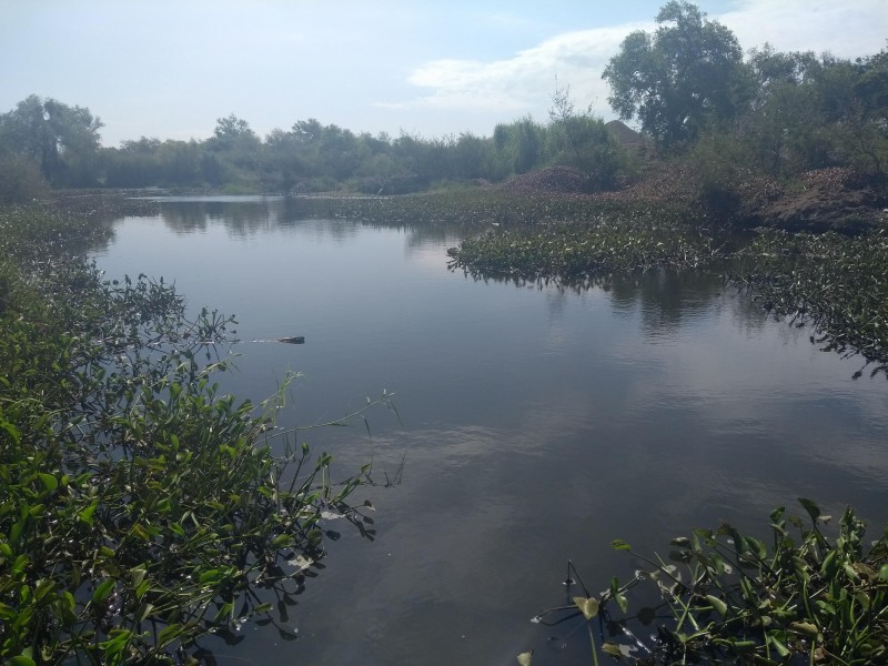 Exportaciones en riesgo tras contaminación del Río Fuerte