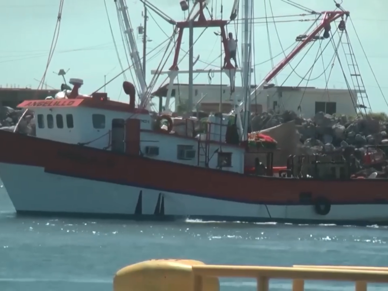 Exportadores van por ruta crítica del desembargo al camarón