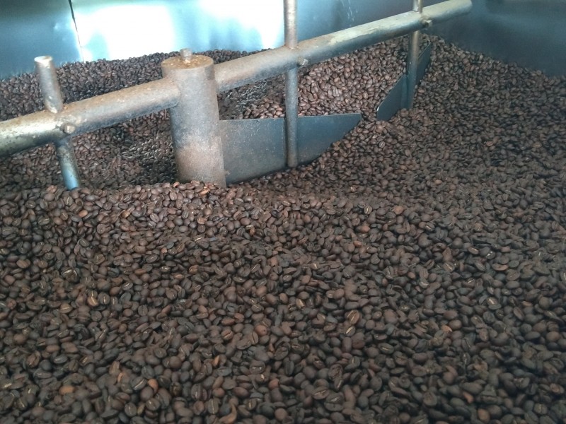 Exportarán una tonelada de café de Comala