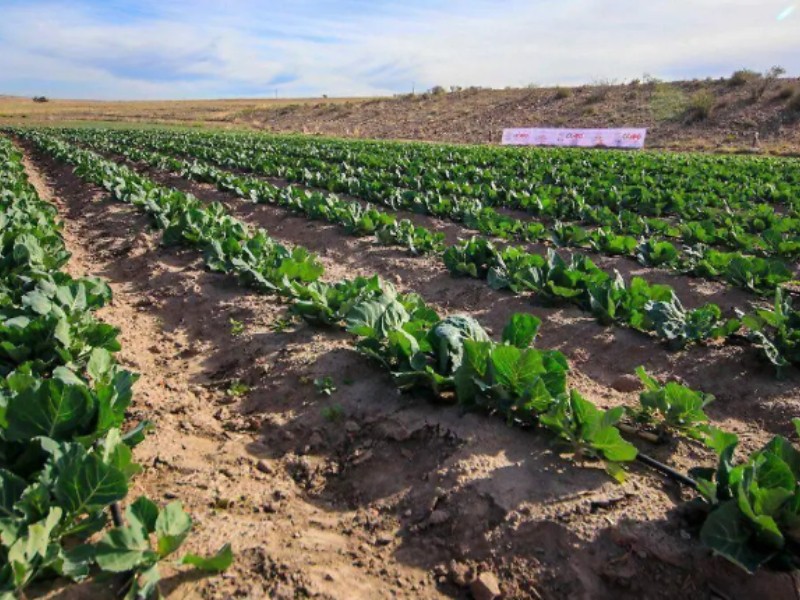 Expos concentran recursos mientras productores reclaman apoyo directo