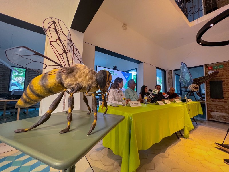Exposición insectus: ciencia, arte y cultura llega a Culiacán