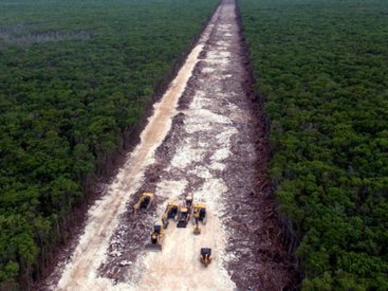 Expropian hectáreas por obras Tren Maya