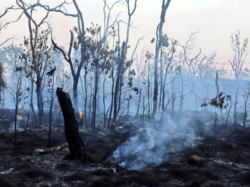 Extinguen incendio en La Primavera