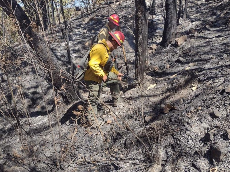 Extinguen incendio forestal en El Colli