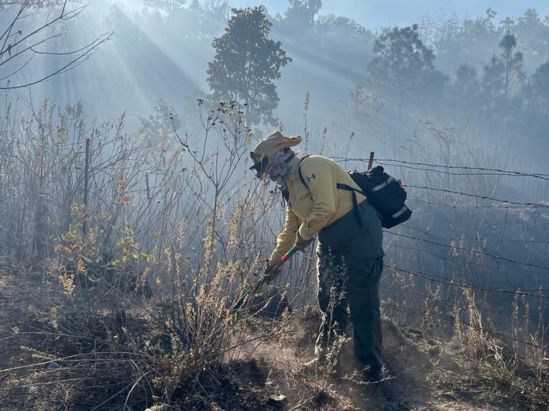 Extinguen primer incendio forestal del 2024 en La Primavera