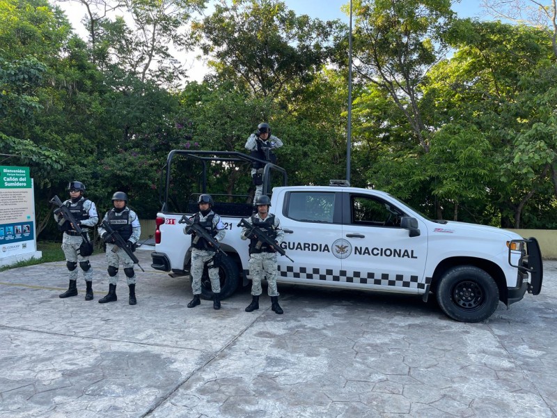 Extraer leña de Áreas Naturales Protegidas se castiga con cárcel