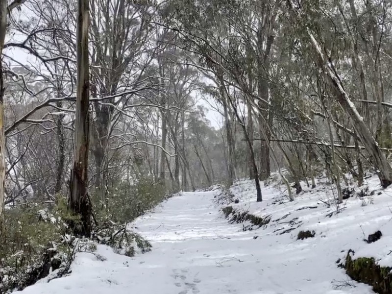 Extraña nevada cubre al sureste de Australia