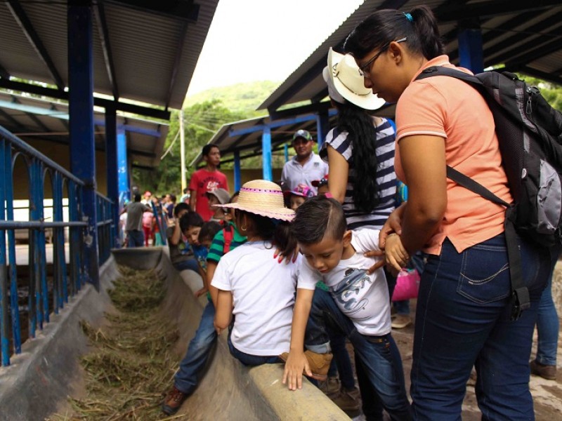 Facultad de veterinaria no incumple con normas