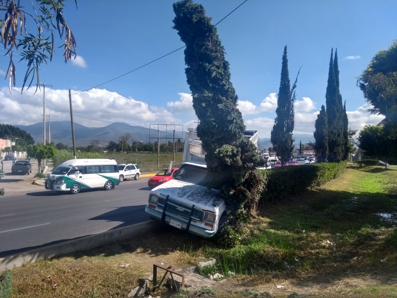 Falla mecánica provoca que camioneta derribe árbol