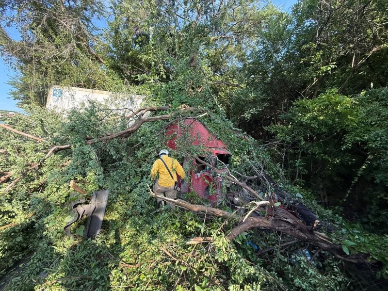 Fallan frenos y tráiler choca contra árbol en carretera Manzanillo-El Colomo