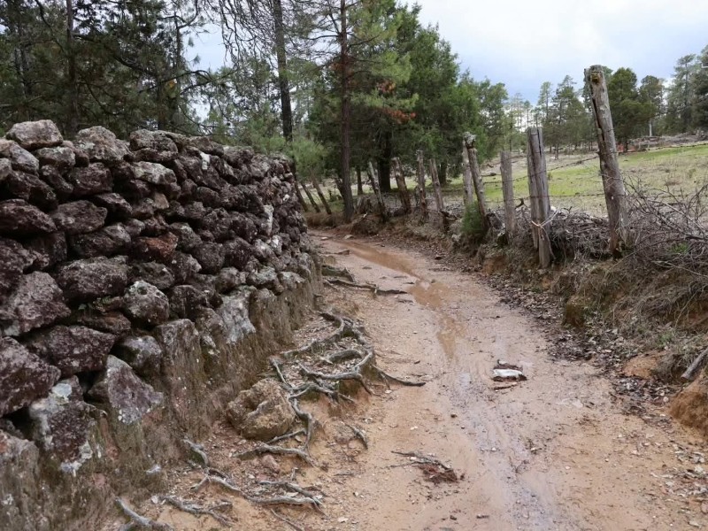 Fallas eléctricas constantes paralizan actividades en la zona rural de Durango