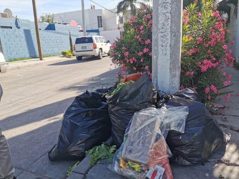 ¡Fallas en recolección de basura empieza a ser crisis!