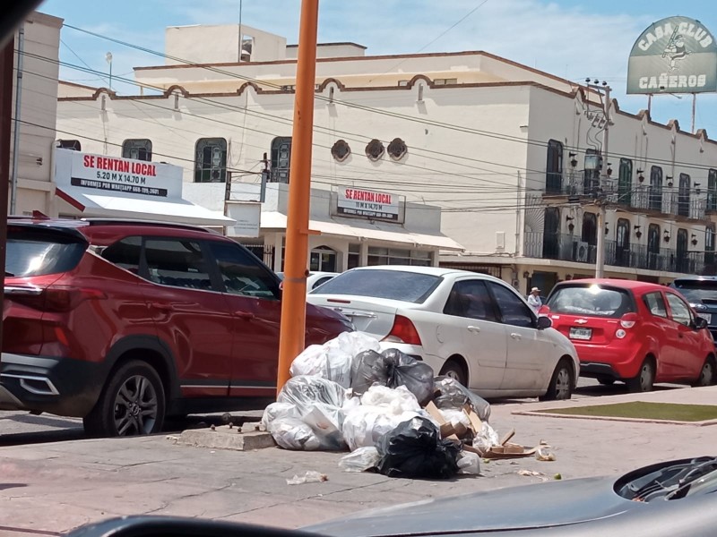 Fallas en recolección de basura empieza hacer crisis