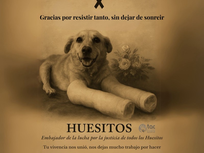 Fallece huesitos can agredido en Miahuatlán