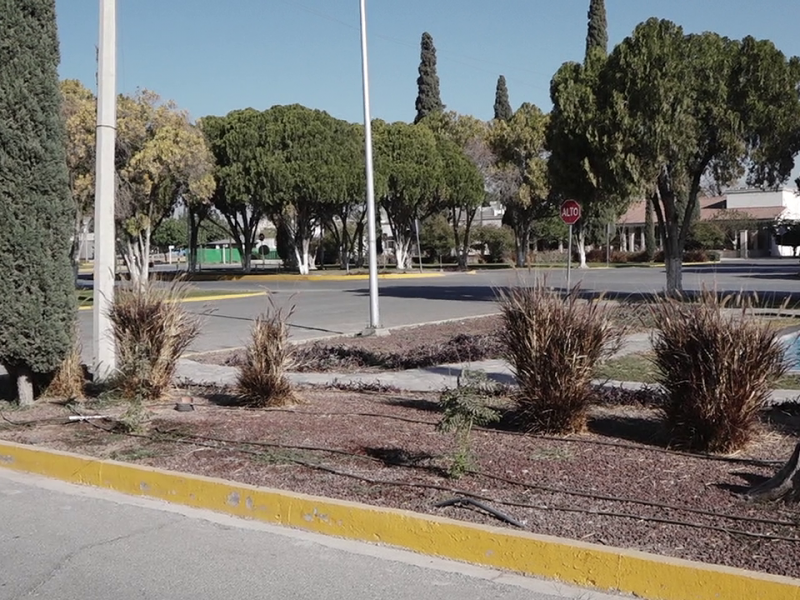 Falta áreas verdes en Torreón. Deben construir dos para 2028