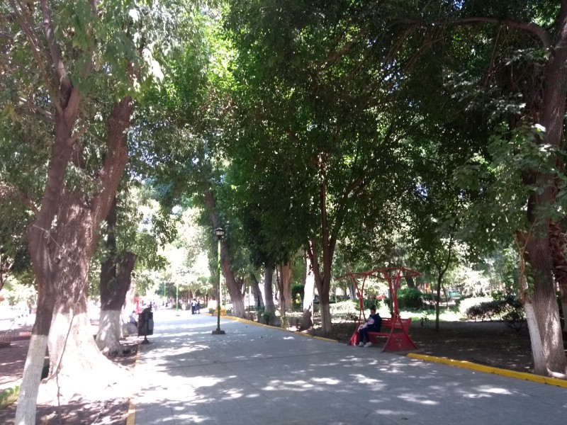 Falta cultura ciudadana para conservar parques