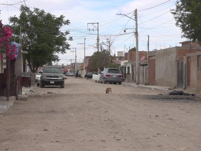 Falta de alumbrado público en la colonia las flores