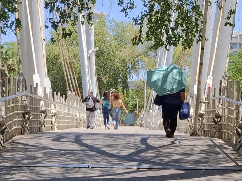 Falta de áreas verdes agrava efectos del calor extremo en Sinaloa