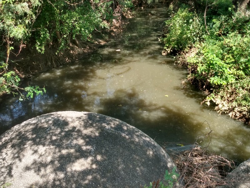 Falta de atención al problema de aguas negras