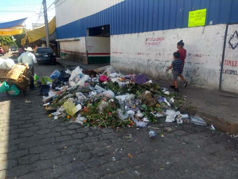 Falta de contenedor para basura genera contaminación