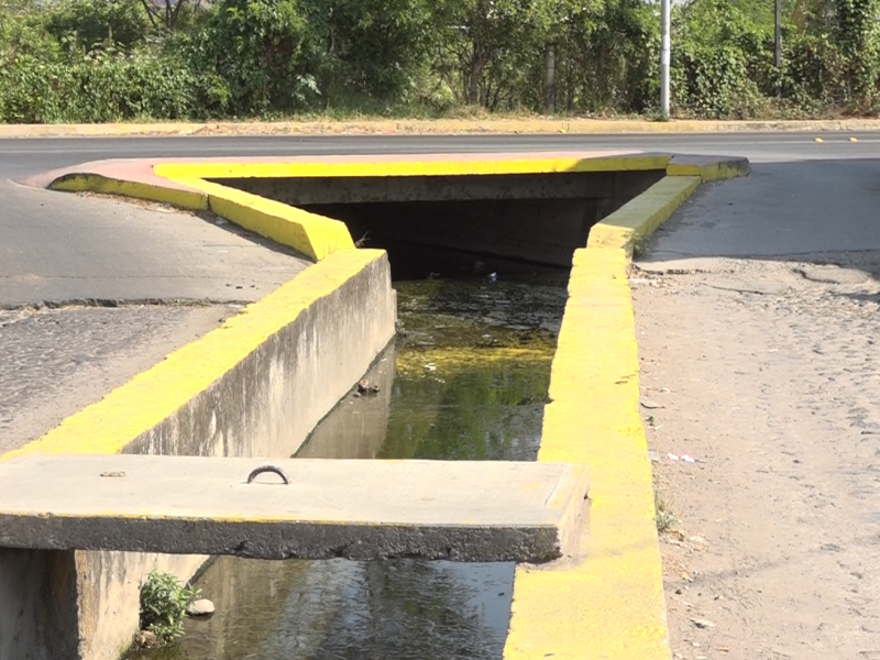 Falta de desazolve de humedal podría causar inundaciones