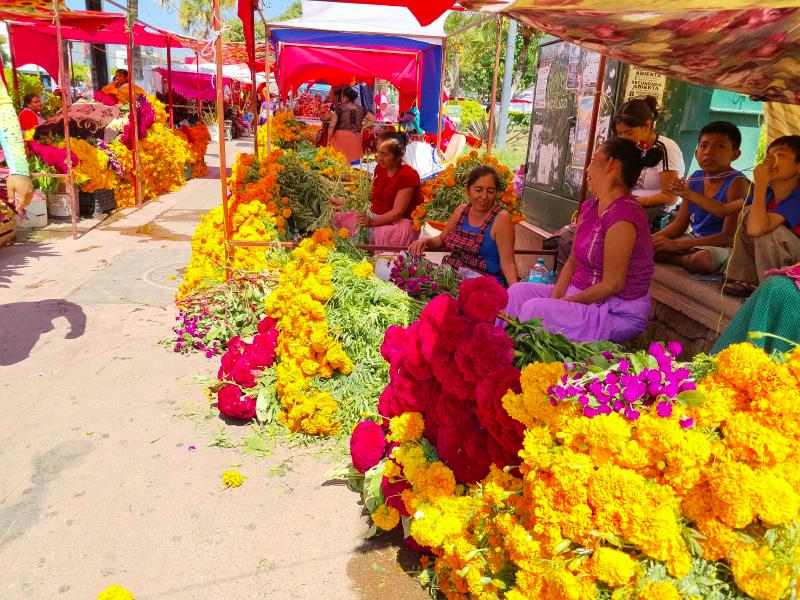 Falta de lluvias encarece productos en temporada de día de muertos