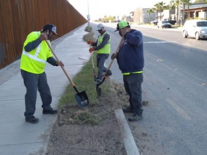 Falta de mantenimiento en calles secundarias