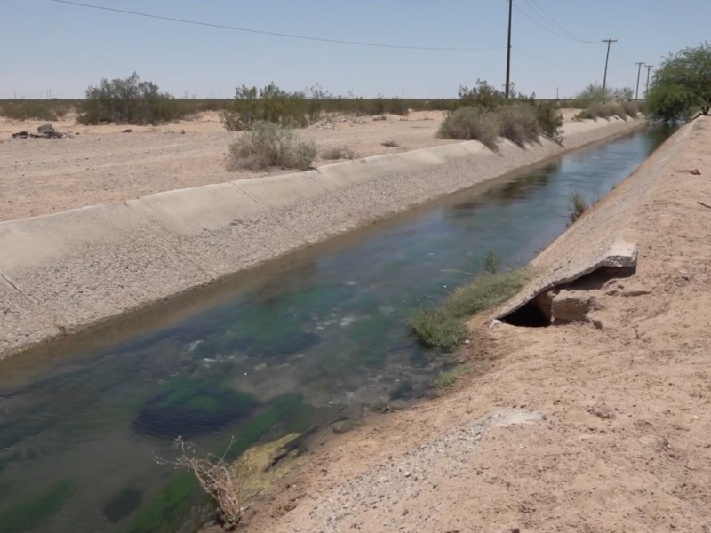 Falta de mantenimiento en canales de riego