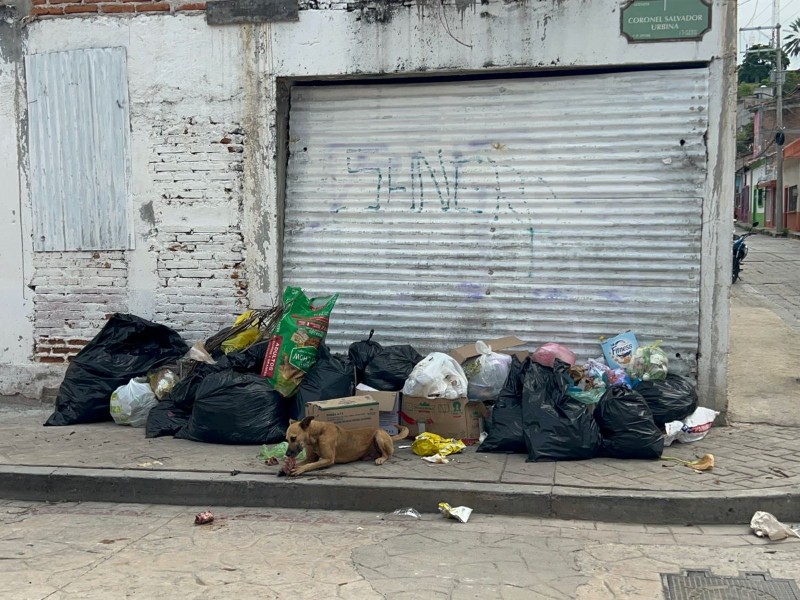 Falta de recolección de basura en Chiapa de Corzo