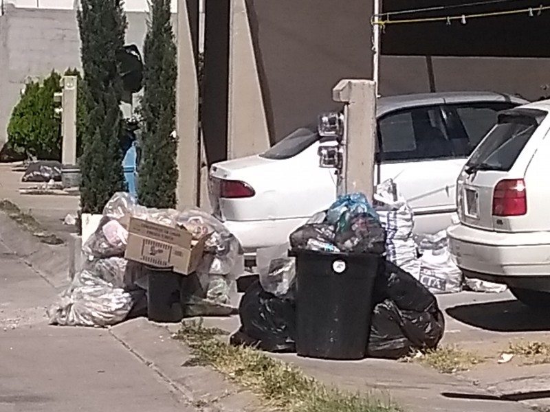Falta de recolección de basura en los Ángeles