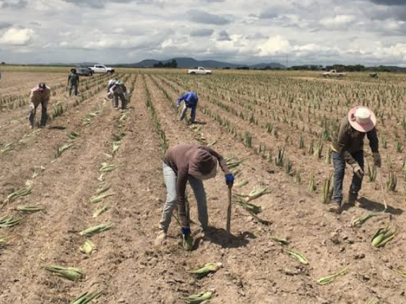 Falta de recursos, impide resolver conflictos agrarios