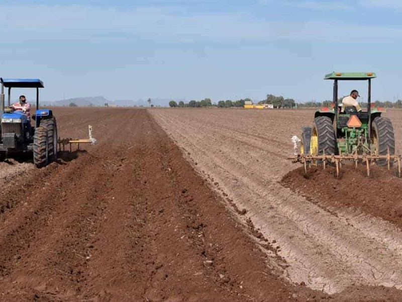 Falta de recursos retrasa siembras en el Valle de El Carrizo