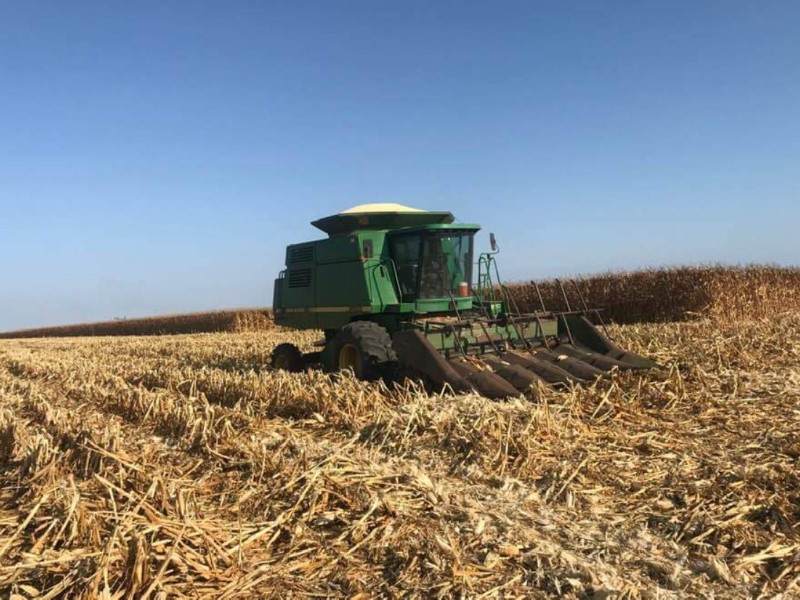 Empresarios advierten crisis por baja rentabilidad en el campo