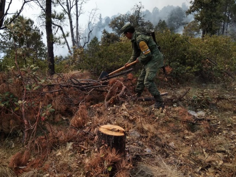 Faltan brigadas para contrarrestar incendios