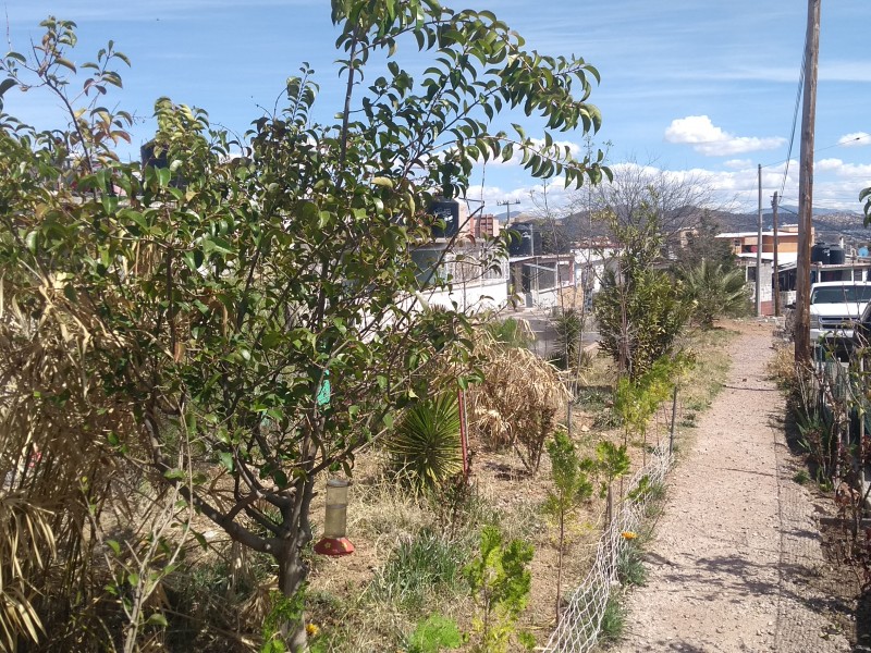 Familia rescata área verde en Puestas del Sol.