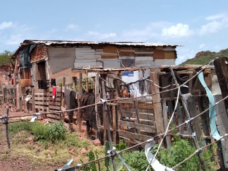 Familias de Guaymas sufren la extrema pobreza