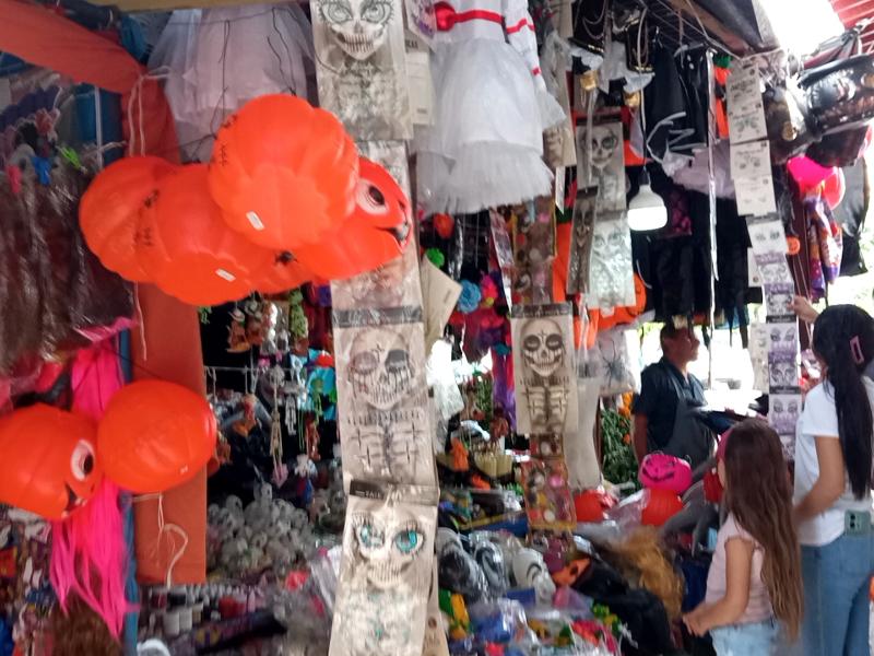 Familias de La Piedad también invierten en disfraces esta temporada