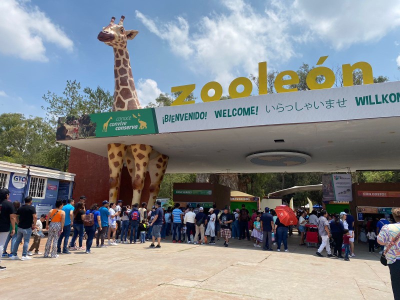 Familias disfrutan los fines de semana con pase verde