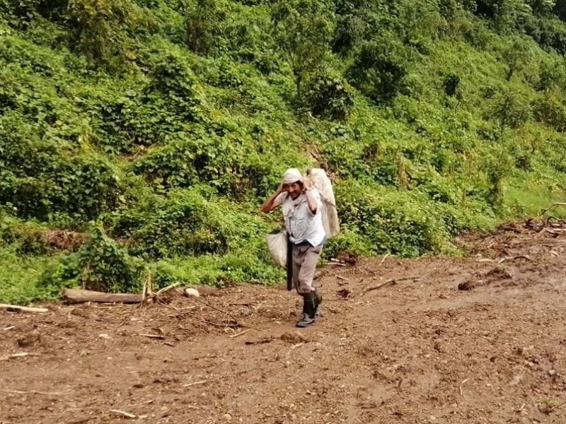 Familias zoques doblemente afectadas, primero por explosión, ahora por lluvias