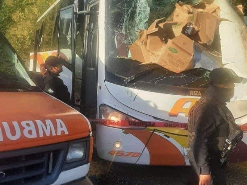 Fatal accidente en la carretera Tlapacoyan-Atzalan