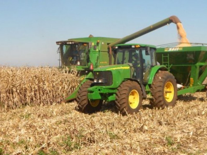 Favorecen mercados a maiceros; el grano supera el precio garantía