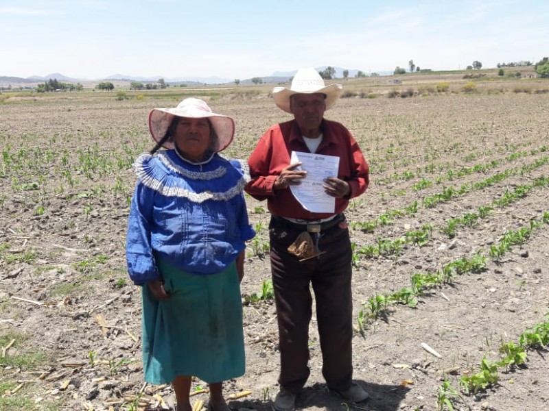 Federación entrega apoyos al campo por 60 mdp