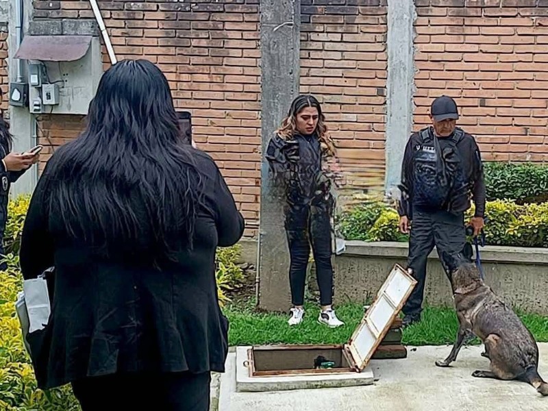 Feminicidio de Itzel: La citó, la mató y la escondió