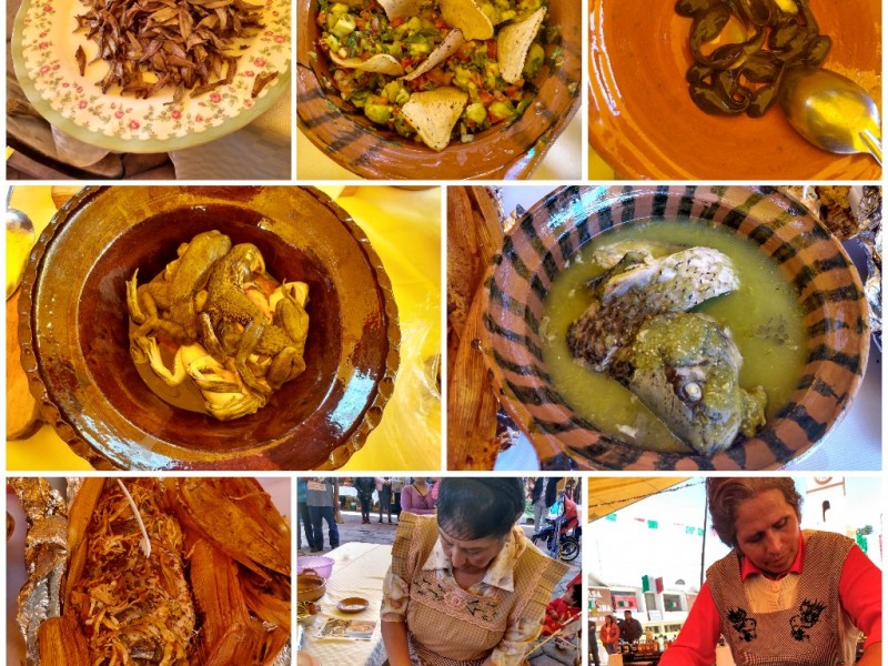 Feria Gastronómica en Almoloya del Río