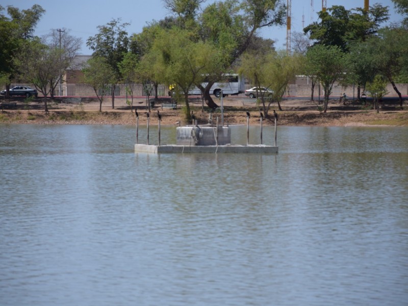 Festejarán aniversario de Laguna del Náinari con espectáculos y verbena