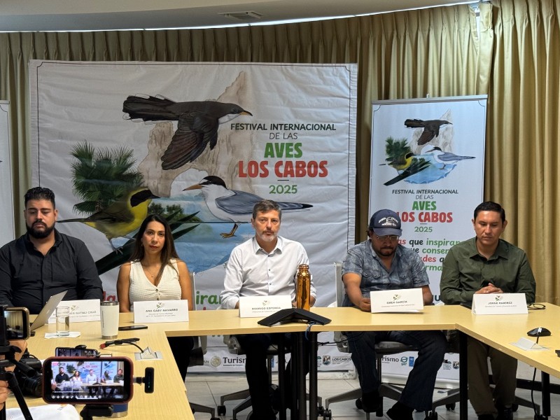 Festival de Las Aves en Los Cabos fomentará turismo y conservación ambiental