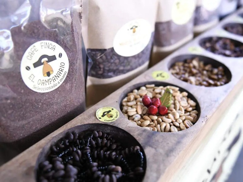 Festival del Café llega al Congreso de Veracruz este 1 de octubre