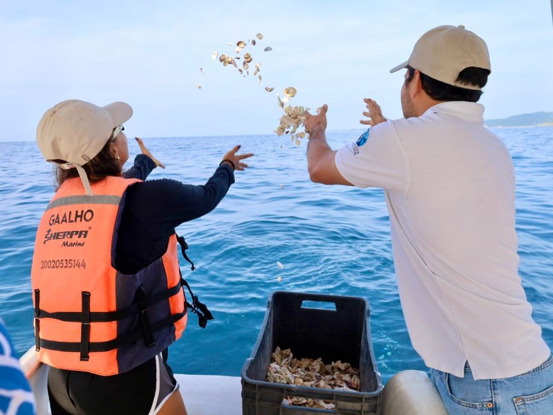 Festival del Turismo Huatulco 2025 realiza liberación de organismos marinos