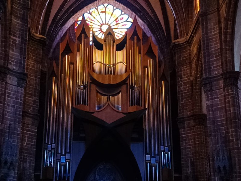 Festival Internacional de Órgano en Zamora tendrá bajo costo y master class