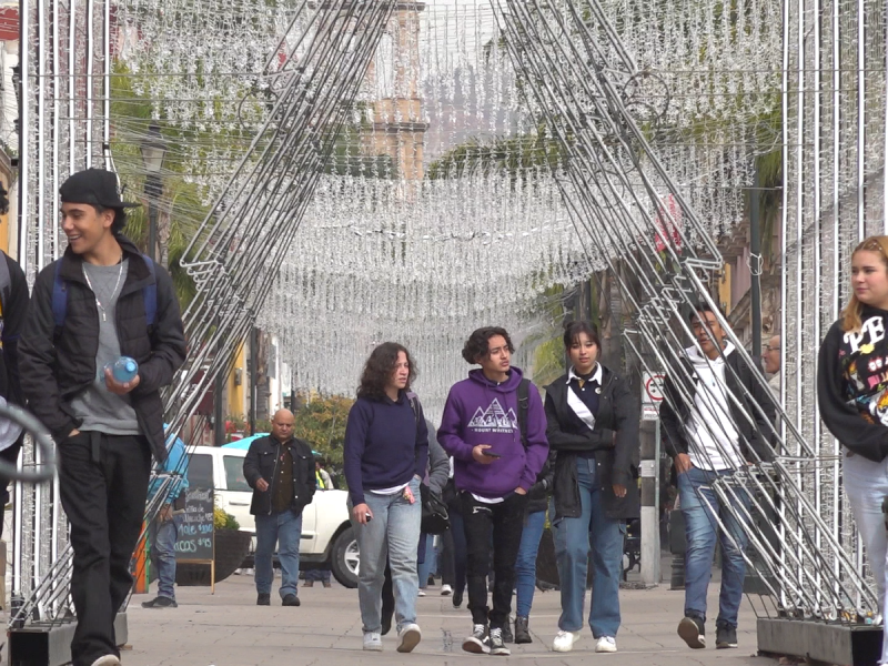 Festividades decembrinas podrian afectar la salud mental: ISMED